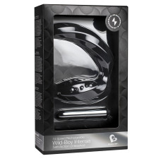 Массажер простаты Rocks Off Wild-Boy Intense