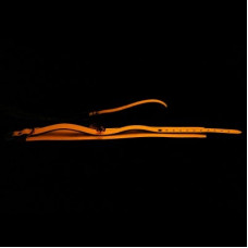 Нашийник з повідцем і дзвіночком DS Fetish помаранчевий