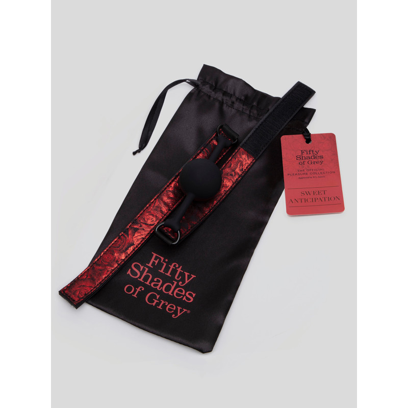 Кляп силиконовый Fifty Shades of Grey Sweet Anticipation Ball Gag Кляп силиконовый Fifty Shades of Grey Sweet Anticipation Ball Gag