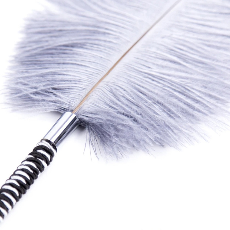 Перышко DS Fetish серое на длинной ручке с обмоткой 46см Перышко DS Fetish серое на длинной ручке с обмоткой 46см