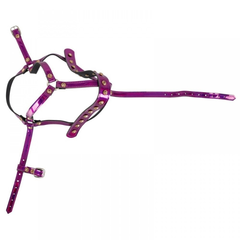 Упряжка для голови Bad Kitty Head Harness Упряжка для голови Bad Kitty Head Harness