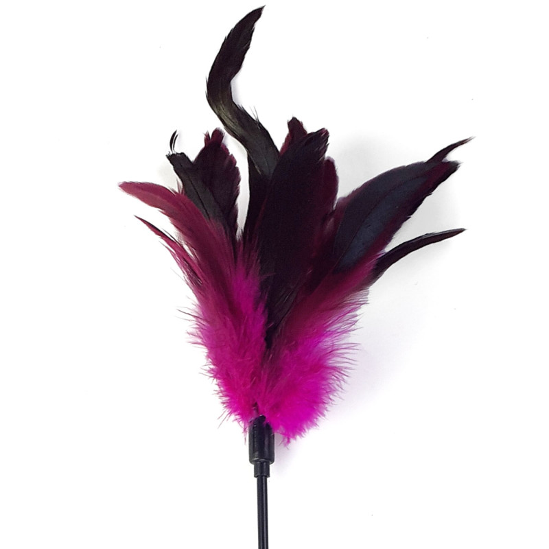 Щекоталка с пером петуха Art of Sex – Feather Paddle, темно-розовая Щекоталка с пером петуха Art of Sex – Feather Paddle, темно-розовая