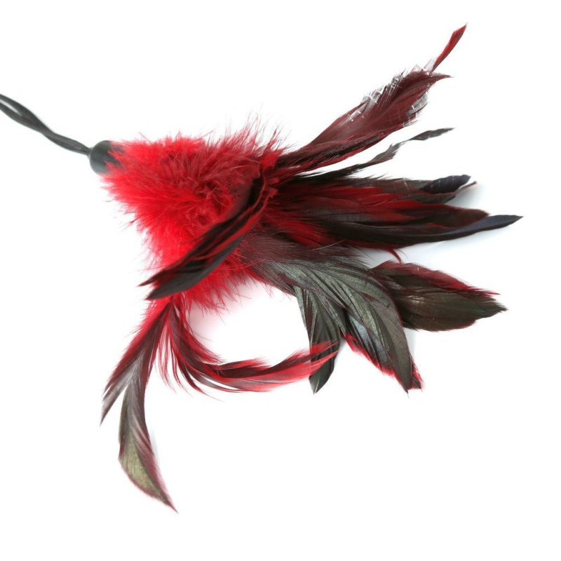 Метелочка Sportsheets PLEASURE FEATHER Красная Метелочка Sportsheets PLEASURE FEATHER Красная