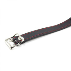 Кляп DS Fetish Silicone ball gag with lock силиконовый с замком Черный