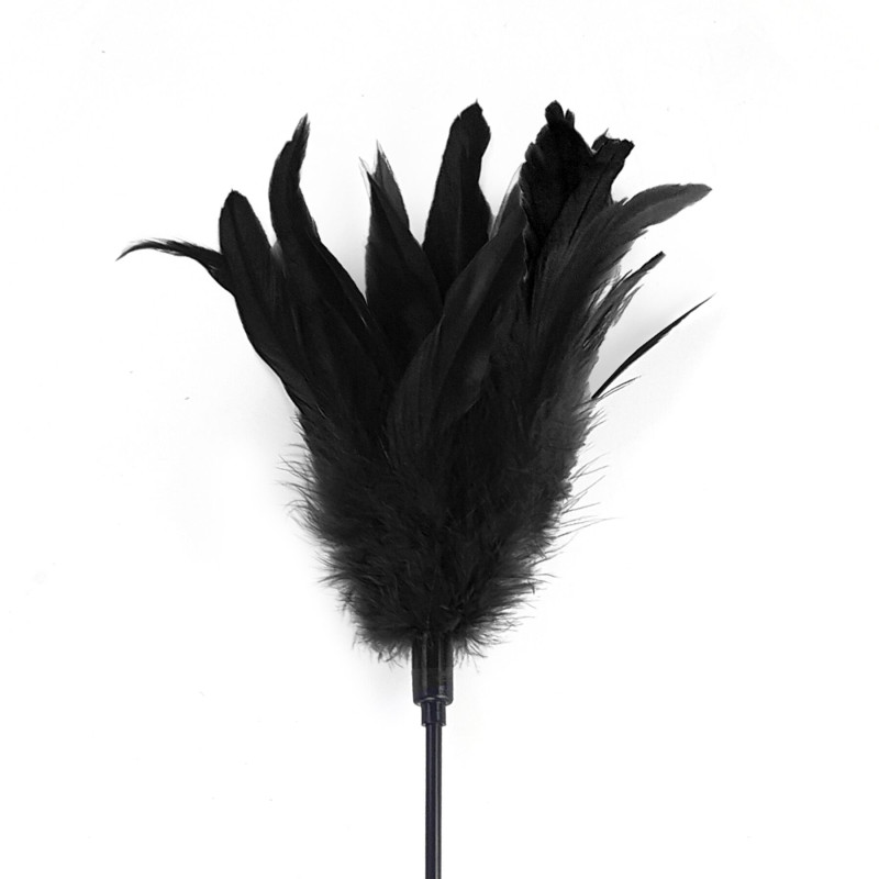 Щекоталка с пером петуха Art of Sex – Feather Paddle, черная Щекоталка с пером петуха Art of Sex – Feather Paddle, черная