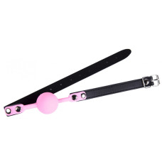 Кляп силиконовый DS Fetish Silicone ball gag metal accesso pink