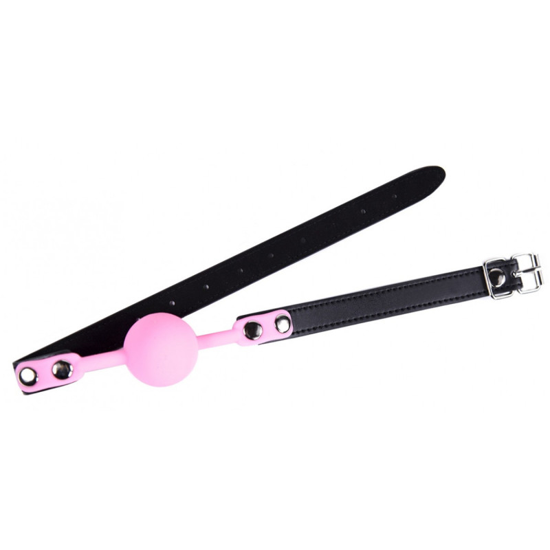 Кляп силиконовый DS Fetish Silicone ball gag metal accesso pink Кляп силиконовый DS Fetish Silicone ball gag metal accesso pink