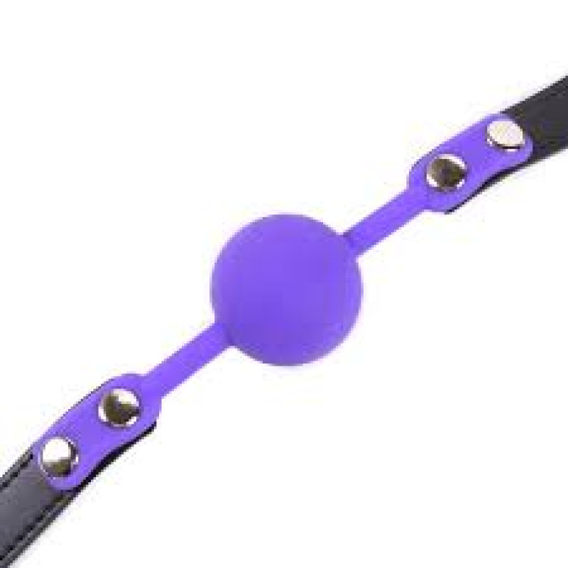 Кляп силиконовый DS Fetish Silicone ball gag metal accesso purple Кляп силиконовый DS Fetish Silicone ball gag metal accesso purple