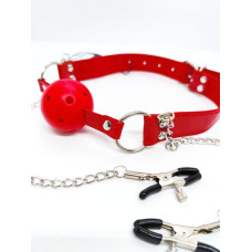Кляп DS Fetish Ball gag with nipple clamps red