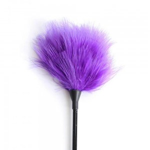 Пірьячко DS Fetish фіолетове на довгій ручці 40см