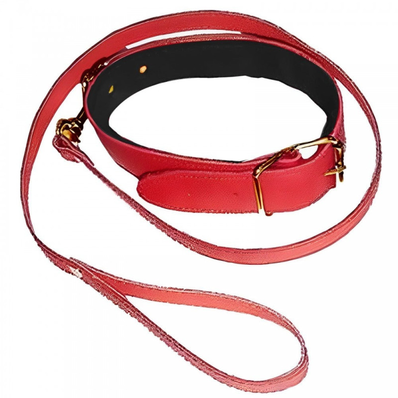 Нашийник з повідцем DS Fetish Collar with leash red Нашийник з повідцем DS Fetish Collar with leash red