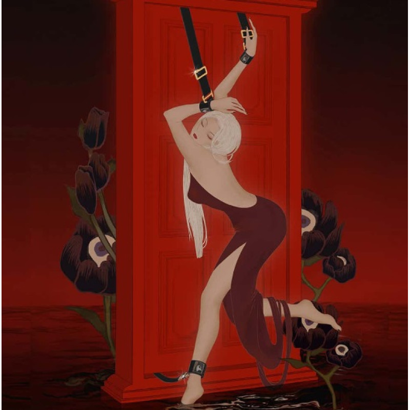 Дверные фиксаторы UPKO Constraints Door Anchors Ankle Restraints для фиксации ног