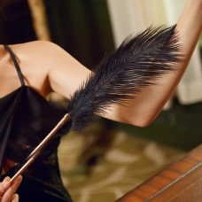 Набор из 2 перышек Lockink Natural Peacock Flirting Feather Tickler