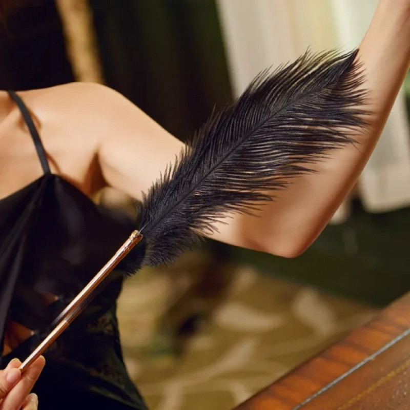 Набор из 2 перышек Lockink Natural Peacock Flirting Feather Tickler Набор из 2 перышек Lockink Natural Peacock Flirting Feather Tickler