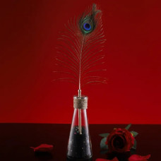 Набор из 2 перышек Lockink Natural Peacock Flirting Feather Tickler