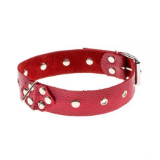 Ошейник sLash Leather Restraints Collar Красный