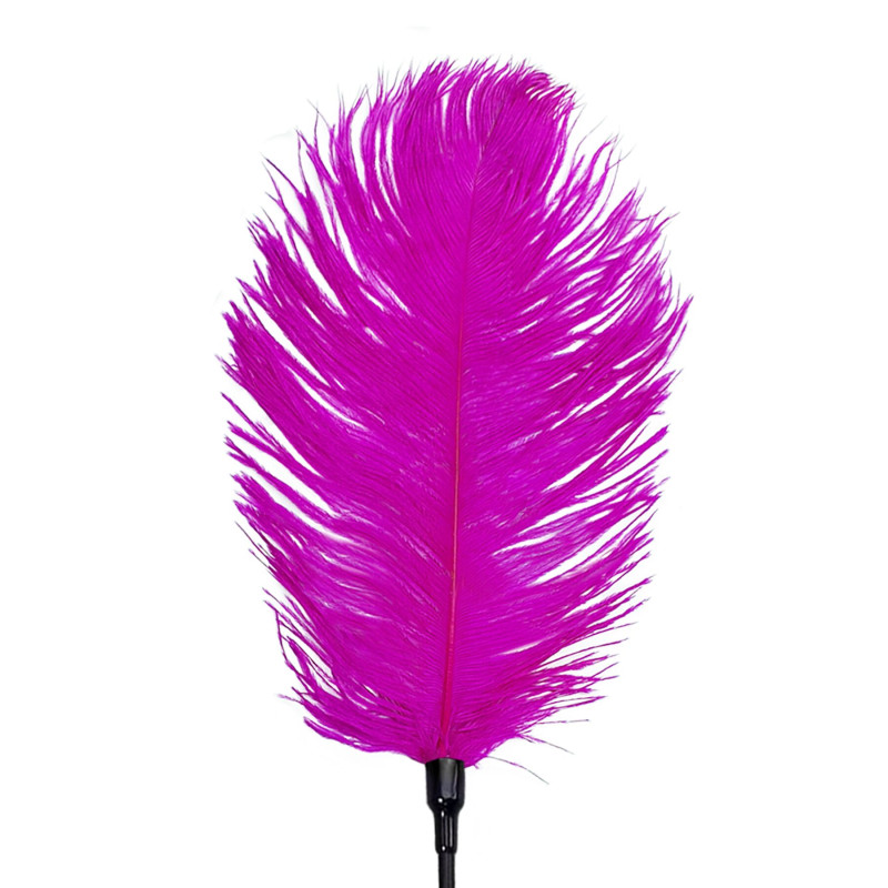 Щекоталка со страусиным пером Art of Sex – Feather Tickler, темно-розовая Щекоталка со страусиным пером Art of Sex – Feather Tickler, темно-розовая