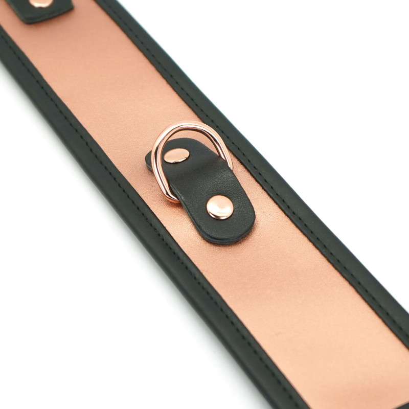 Широкий ошейник с поводком Liebe Seele Rose Gold Memory Collar with Leash, натуральная кожа