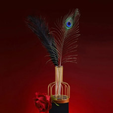 Набор из 2 перышек Lockink Natural Peacock Flirting Feather Tickler
