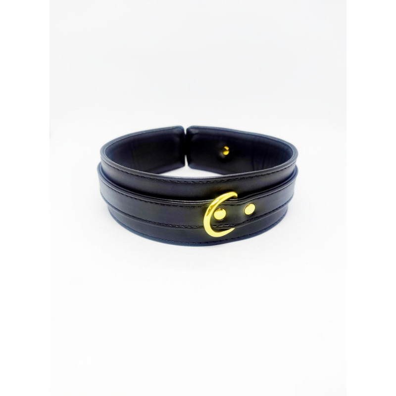 Ошейник с поводком DS Fetish, экокожа, черный Ошейник с поводком DS Fetish, экокожа, черный