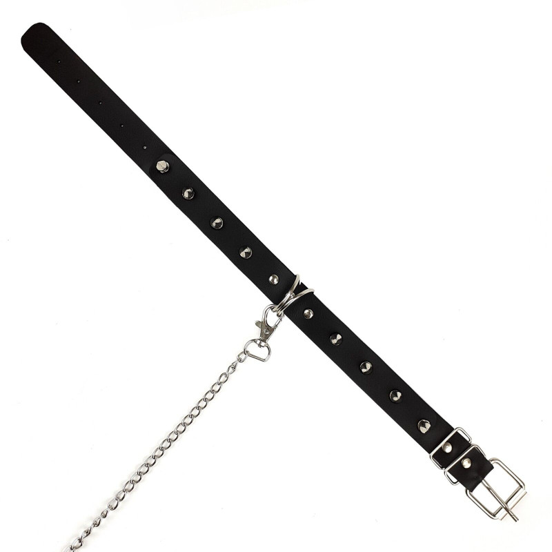 Нашийник з шипами та повідцем Art of Sex Collar Spikes and Leash