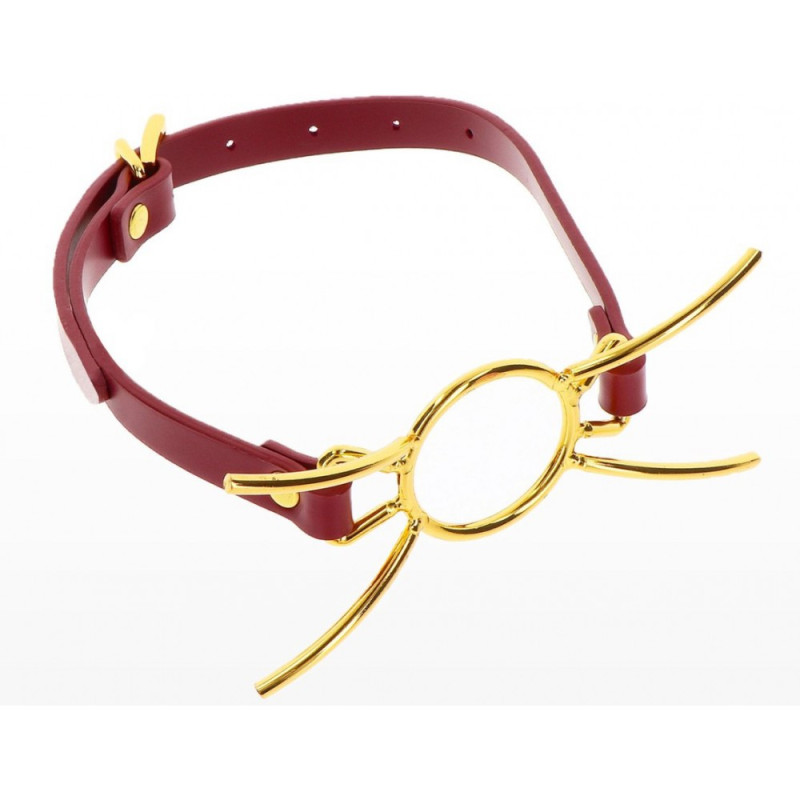 Кляп с кольцом Taboom Open Mouth Spider Gag Кляп с кольцом Taboom Open Mouth Spider Gag