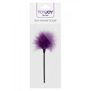 Тіклер Toy Joy на довгій ручці, фіолетовий, 22 см