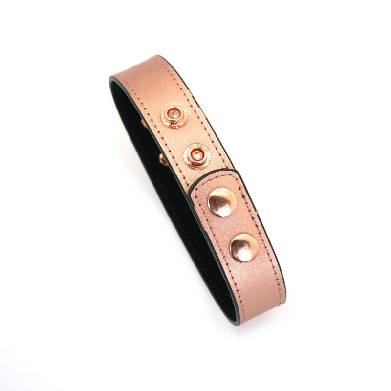 Ошейник с зажимами для сосков Liebe Seele Rose Gold Memory Collar with Nipple Clamps, кожа