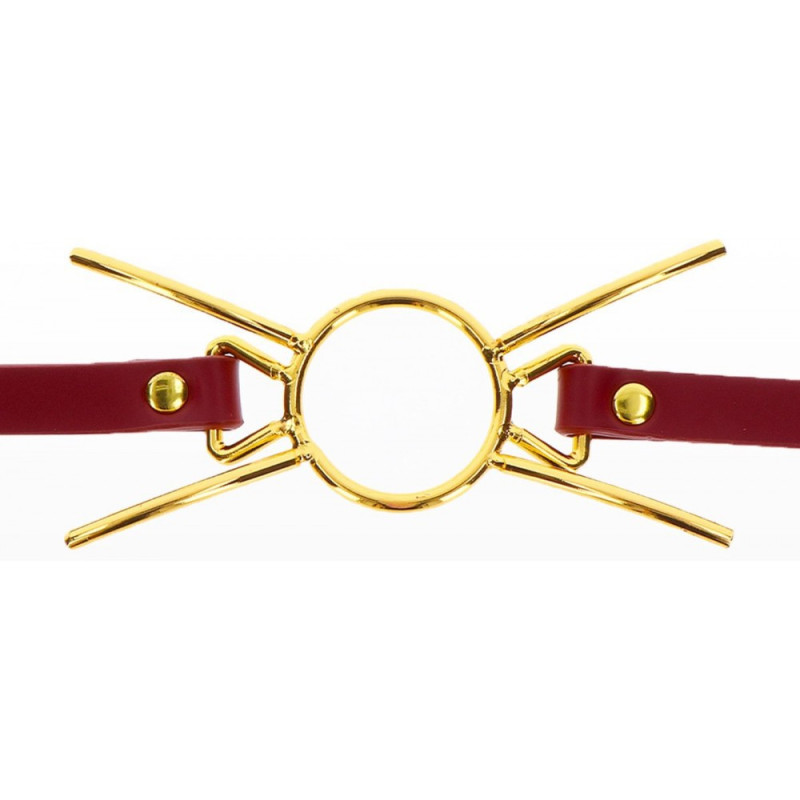 Кляп с кольцом Taboom Open Mouth Spider Gag Кляп с кольцом Taboom Open Mouth Spider Gag