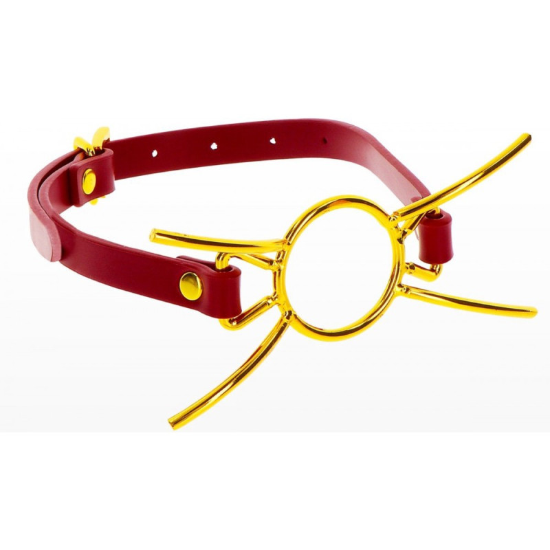 Кляп с кольцом Taboom Open Mouth Spider Gag Кляп с кольцом Taboom Open Mouth Spider Gag