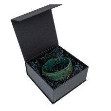 Премиум ошейник LOVECRAFT размер M зеленый