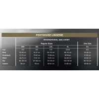 Міні-сукня сітка Penthouse Above & Beyond Чорне XL