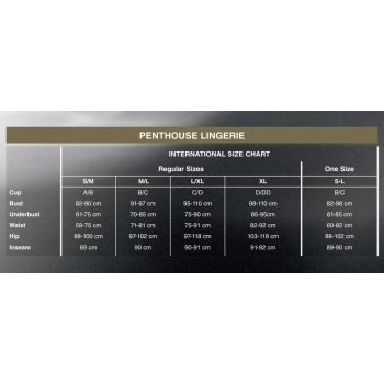 Комплект пеньюар, трусики с доступом и браллет Penthouse Hypnotic Power Черный S/L