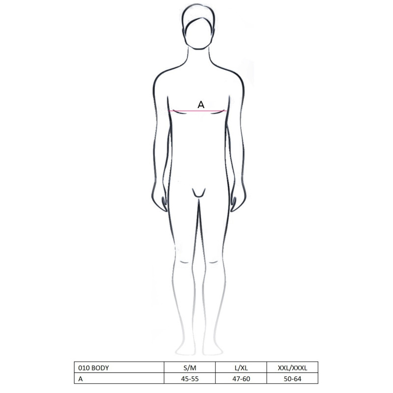 Мужское эротическое Боди Passion 010 BODY S/M Черное