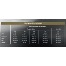 Комплект пеньюар, трусики с доступом и браллет Penthouse Hypnotic Power Белый XL