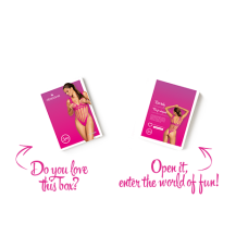 Сетчатый бодистокинг с продольными вырезами Obsessive B121 teddy розовый S/M/L