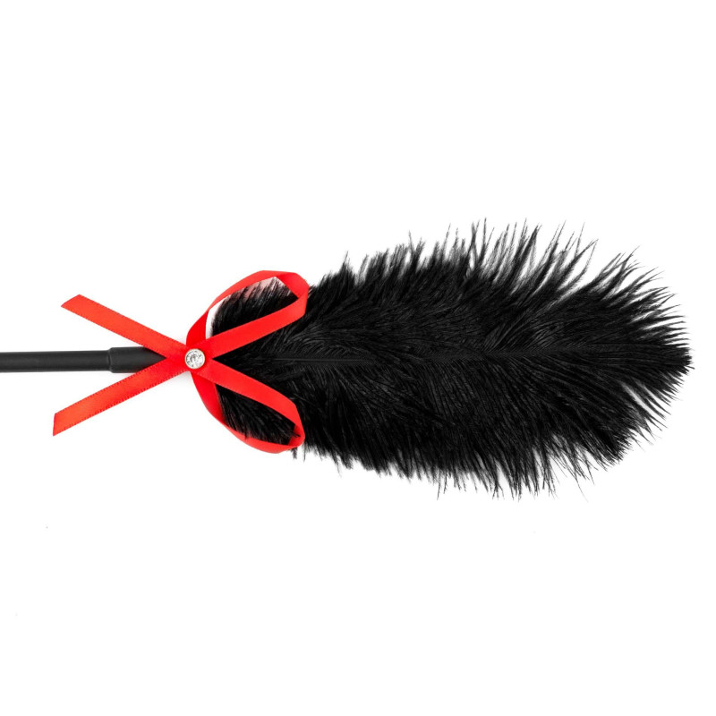 Стек-тиклер Fetish B - Series Tickler & Whip 2.0