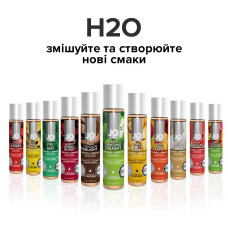 Лубрикант на водной основе System JO H2O GREEN APPLE 120 мл