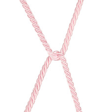 Веревка LoveToy Rebellion Reign Bondage Rope Rose, 10 м