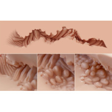 Мастурбатор-півторс Naked Factory LAURA, вагіна + анус, дуже реалістичний, наскрізний