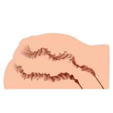 Мастурбатор-півторс Naked Factory LAURA, вагіна + анус, дуже реалістичний, наскрізний