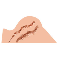 Мастурбатор-попа Naked Factory HANNAH, вагіна + анус, дуже реалістичний, наскрізний