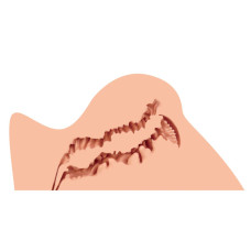 Мастурбатор Naked Factory TRISHA A TYPE, гладенька вагіна + анус, дуже реалістичний