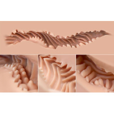 Мастурбатор-попка Naked Factory KATE, вагіна + анус, дуже реалістичний, наскрізний