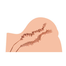 Мастурбатор-попка Naked Factory KATE, вагіна + анус, дуже реалістичний, наскрізний