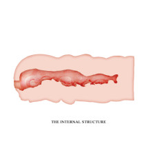 Мастурбатор Crazy Bull Isabel Pocket Masturbator