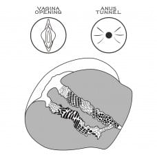 Мастурбатор LoveToy Streetgirl's #11 Flesh