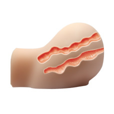 Мастурбатор Crazy Bull Busrty Butt Vagina and Anal