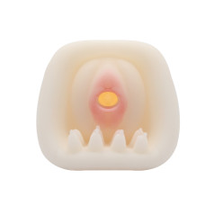 Мастурбатор вагіна LyBaile Passion Lady Attached vibrating egg Tighten Shrink BM0203