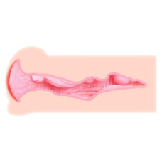 Мастурбатор Kokos Haru DL (двошарова)